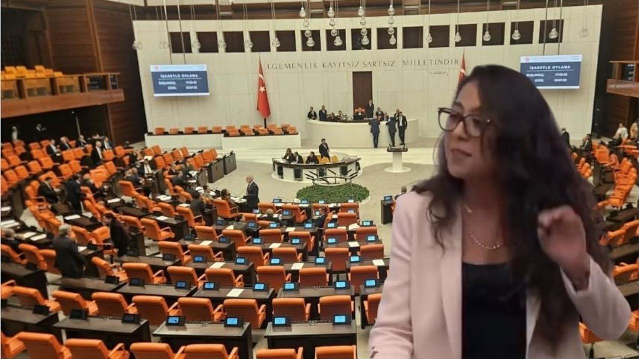 Sera Kadıgil: Okulda bir öğün yemeğin maliyeti 250 milyar TL, 214 kişinin fondan götürdüğü 200 milyar TL
